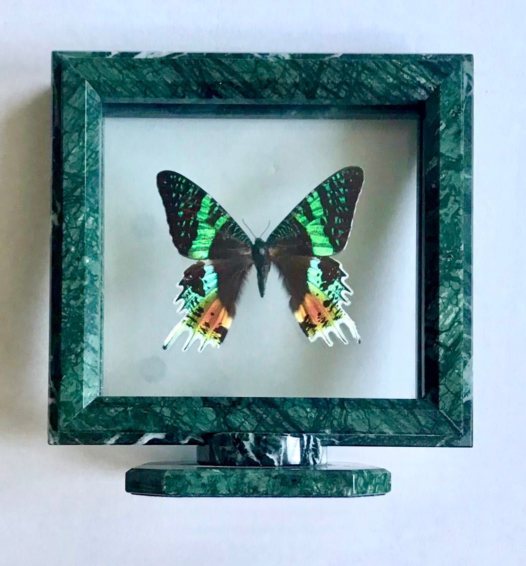 Метелики колекційні (бабочки в стекле) в рамах з натурального каменя