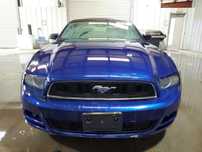 Бампер Ford Mustang 2013-2022 разборка форд мустанг запчастини