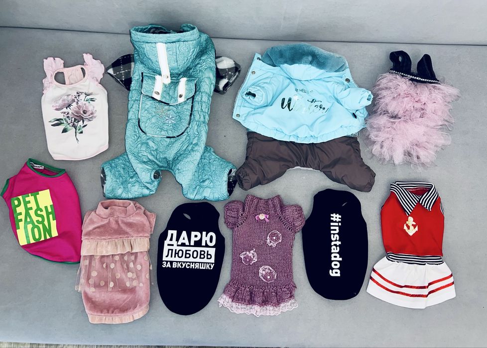 Одежда для собак is pet fashion на размер XS S M комбинезон куртка