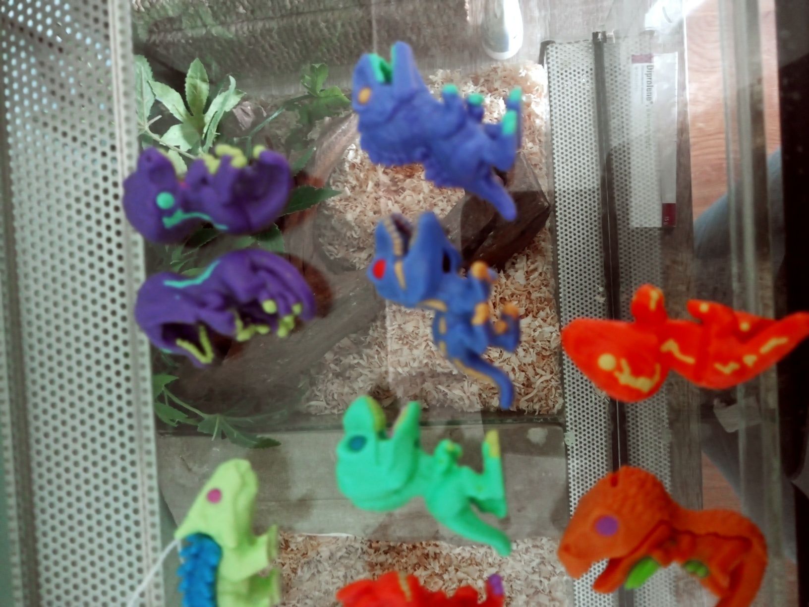 Dinozaury kindej joy