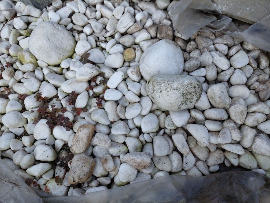 Kamień ozdobny ogrodowy, otoczak biały