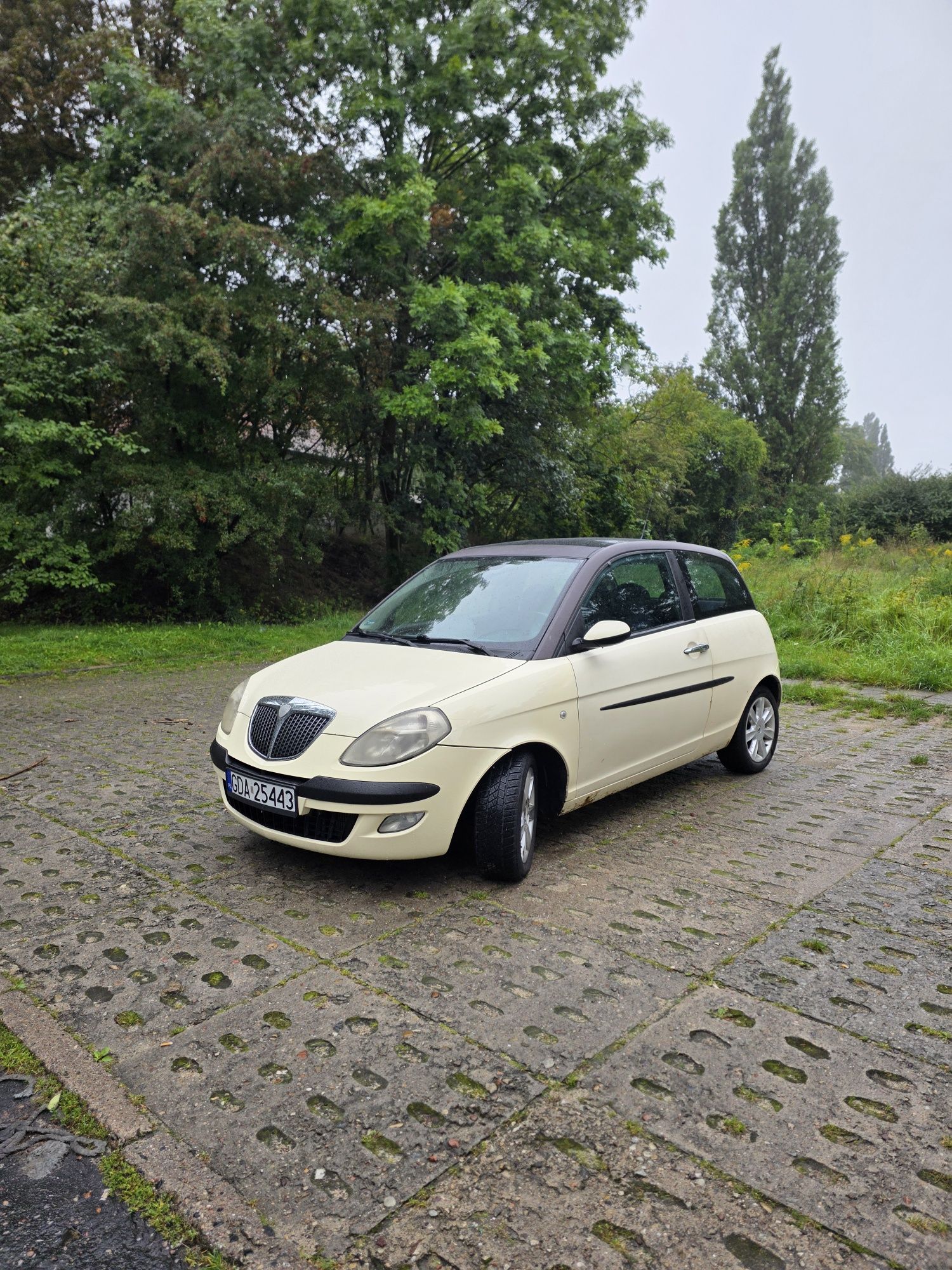 Lancia Ypsilon, AUTOMAT, klimatyzacja