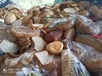 Chleb paszowy żyto pszenżyto pszenica kukurydza