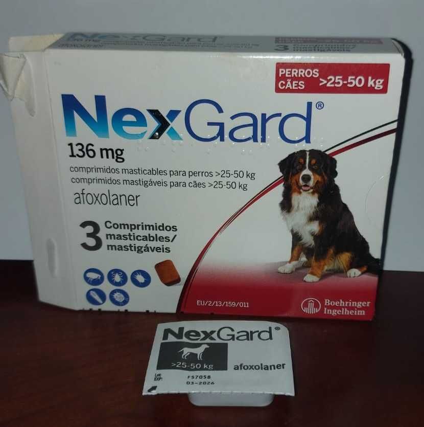 Suplementos alimentares para cães
