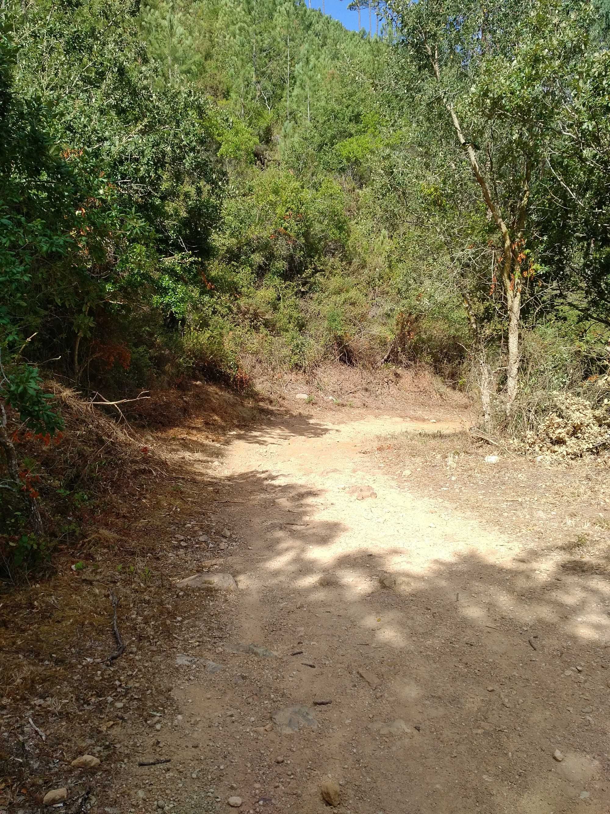 Terreno rustico de 1000m2 Carvoeira - Mafra.