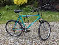 Rower górski Schwinn Woodlands 21" - unikat