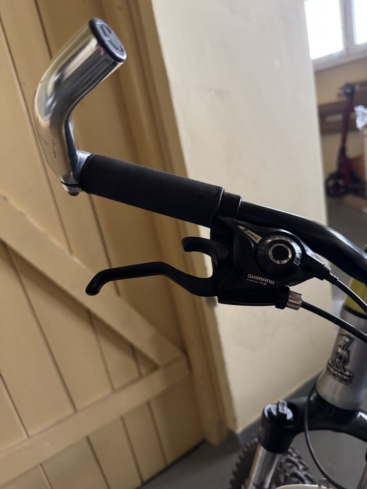 Rower górski Raleigh Storm 2.0 Disc