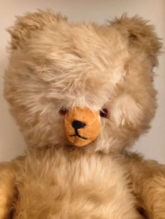 Miś, maskotka, trociniak, stary