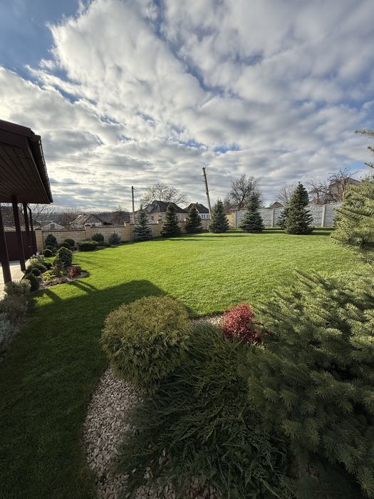 Дом в Краснополье . Аренда дома