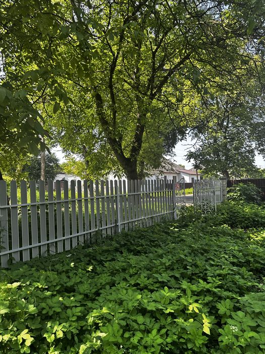 Продаж будинок 80 кв. м  з землею 7 соток м. Жидачів