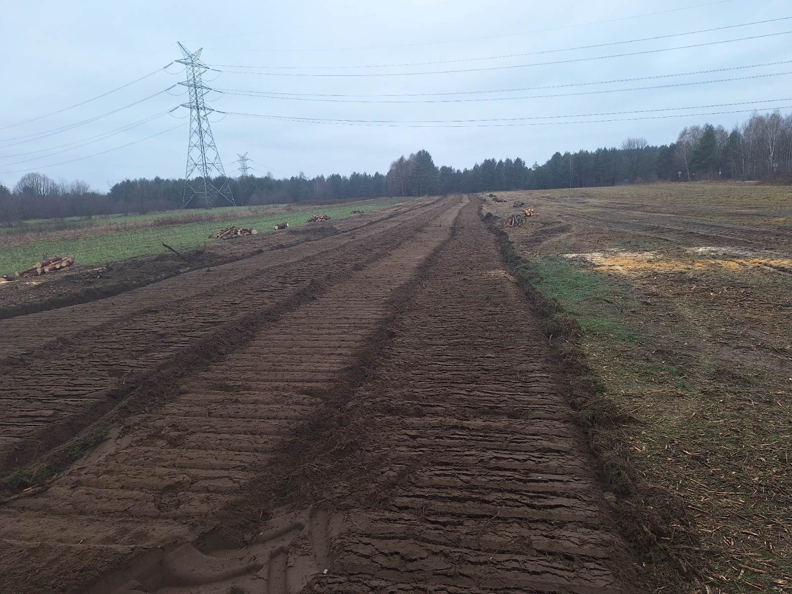 Mulczer Wgłębny Mulczer Leśny Wycinka drzew Frezowanie pni drzew