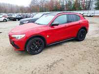 Alfa Romeo Stelvio 2.0L AWD Automat TI Q4