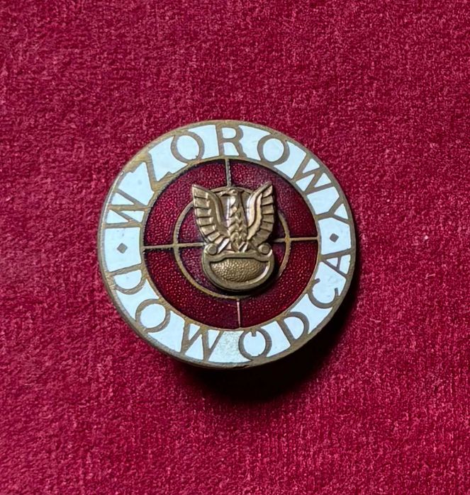 Wzorowy Dowódca Odznaka