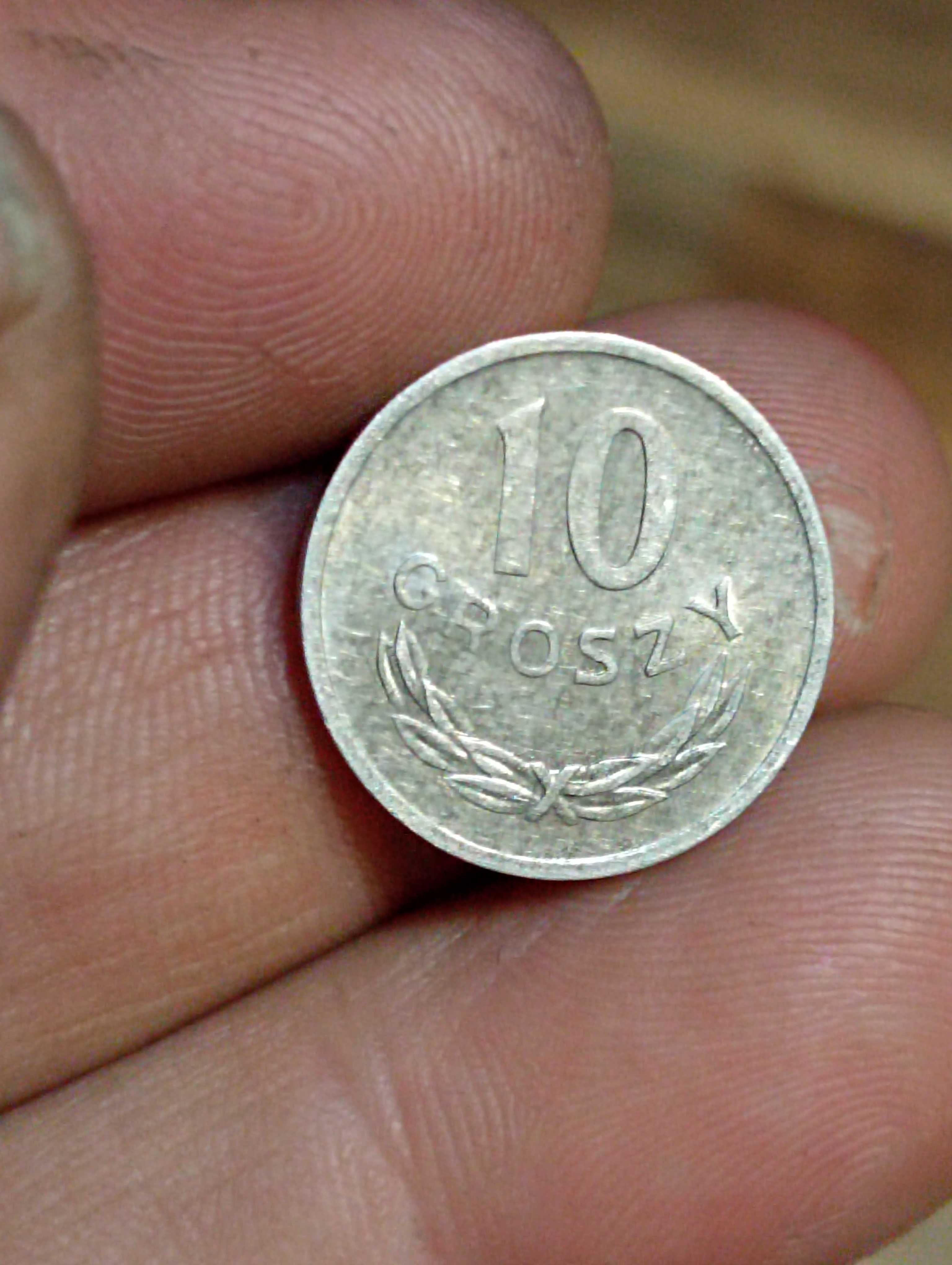 Sprzedam monete 10 groszy 1969 rok