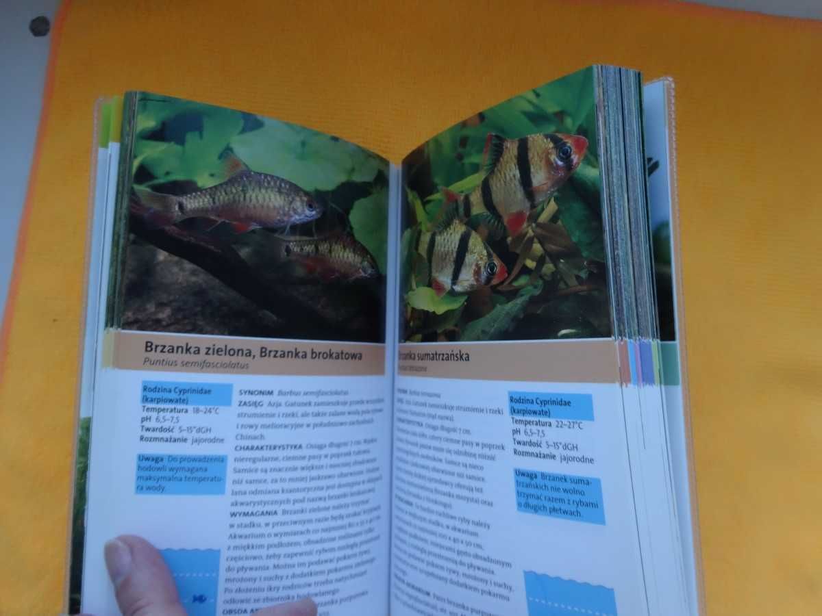 250 ryb akwariowych- Kothe _rozpoznawanie, wymagania, pielęgnacja NOWA