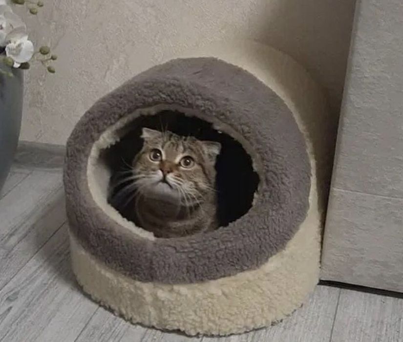 Тепла хутряна хатинка будиночок домик для котика собачки