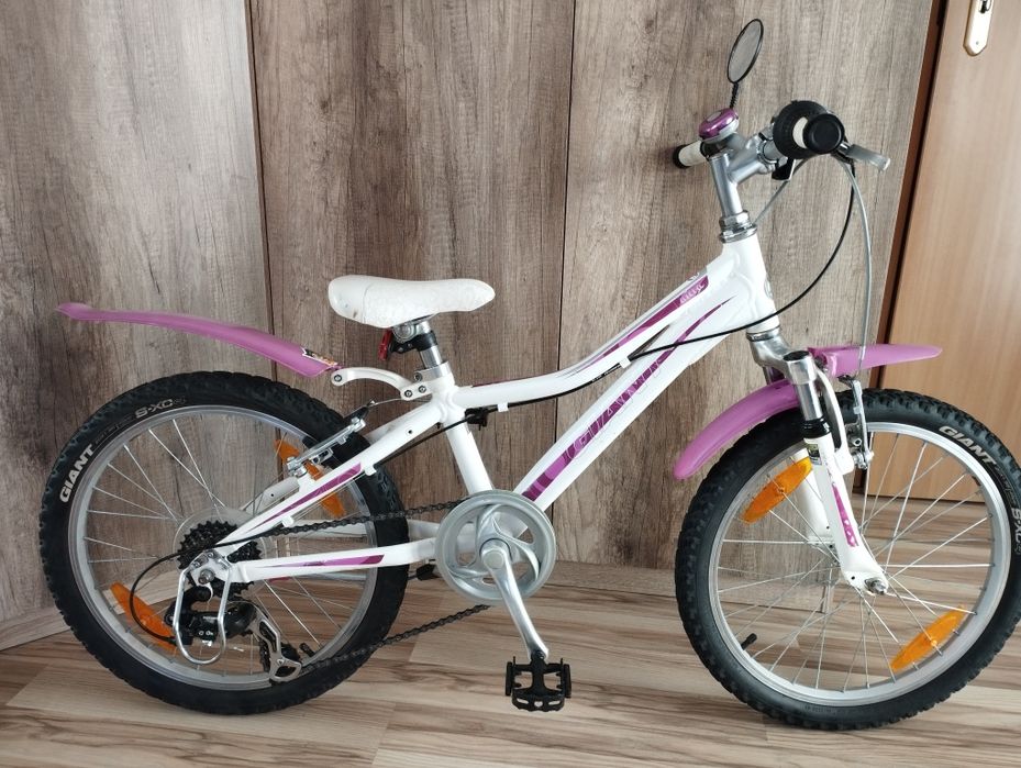 Rower Dziecięcy Giant Areva Koła 20" Alu. 7 Biegów Amor. Po Serwisie