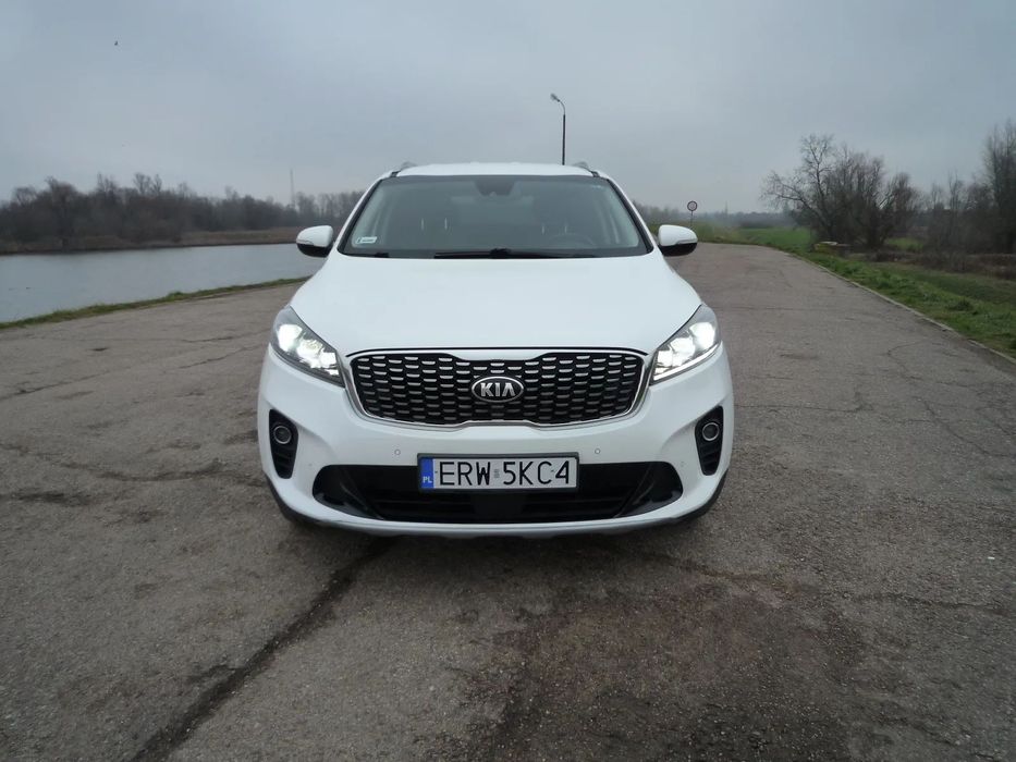 Kia Sorento Navi,4X4,Klimatron,KeyLesGo,Kamera,Skóry,Full Led,S.Polska,Serwis,7-os