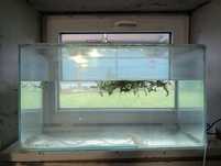 Akwarium dla ryb 68x38x31 cm = 80104 cm³ = 80L