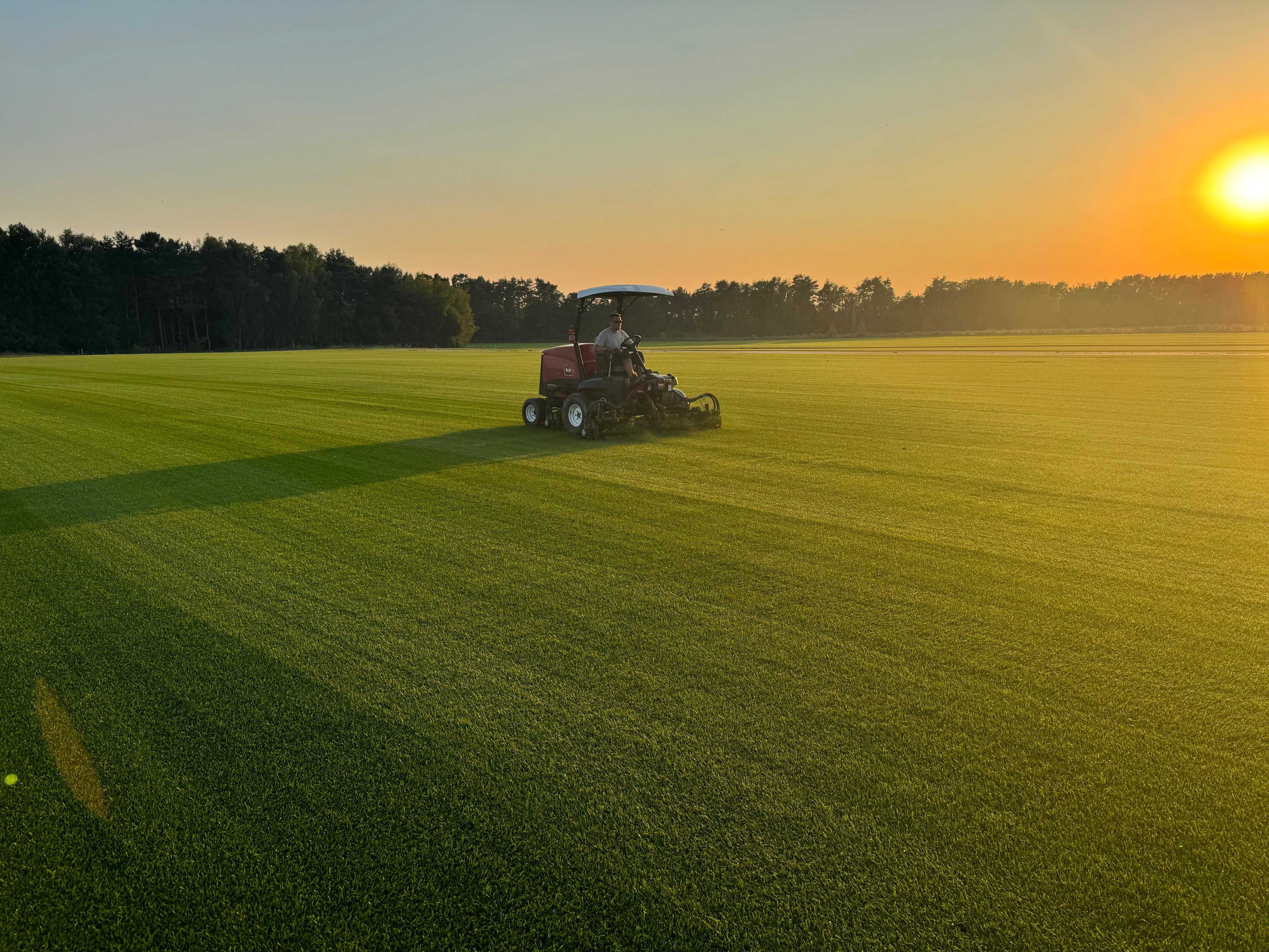 Trawa z rolki, trawnik z rolki - PRODUCENT - Plantacja trawnika