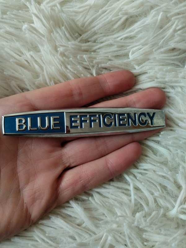 Znaczek Blue Efficiency