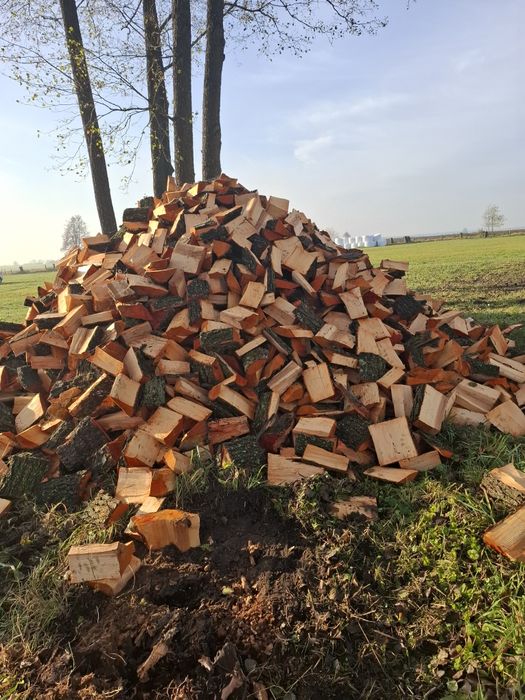 Drzewo opałowe olcha