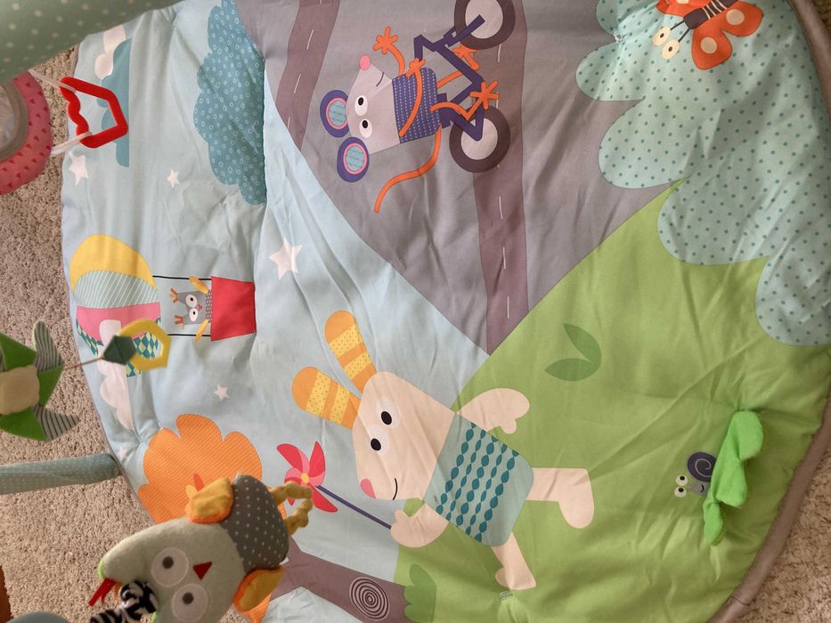 Tapete de Atividades Taf Toys