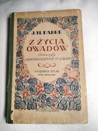 Z życia owadów Fabre 1925 książnica Atlas Lwów Warszawa