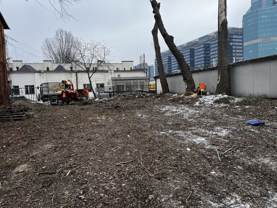 Wycinka drzew, pielegnacja drzew, przygotowanie terenu pod budowe