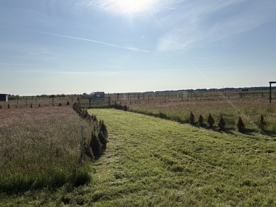 Koszenie działek - Usługi na działkach