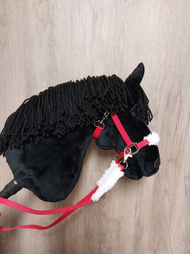 Konik hobby horse