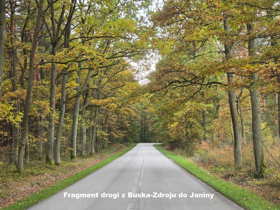 Działka 1500m2 ze starym, murowanym domem - Janina gm. Busko-Zdrój