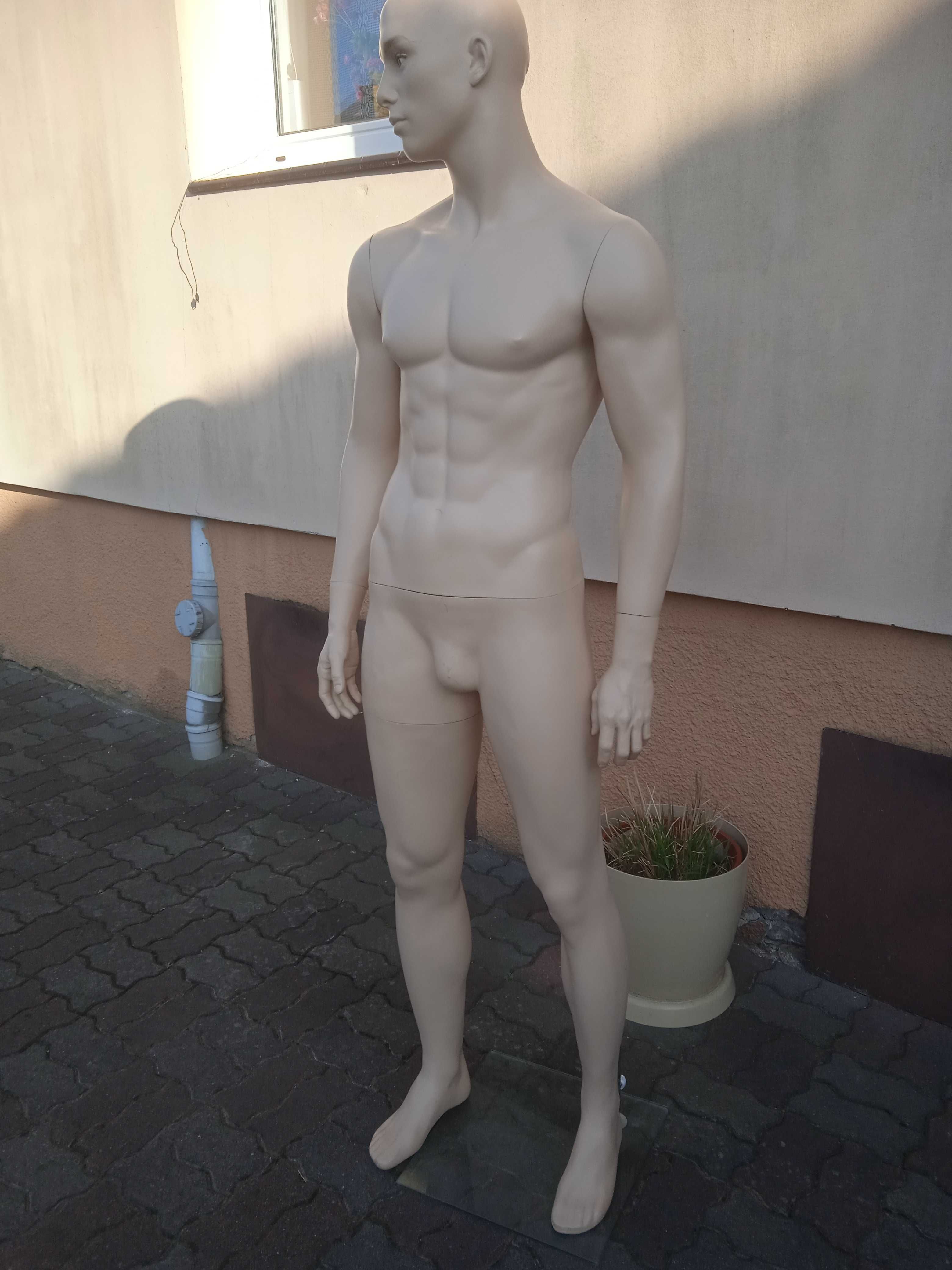 Manekin całopostaciowy meski i tors damski.