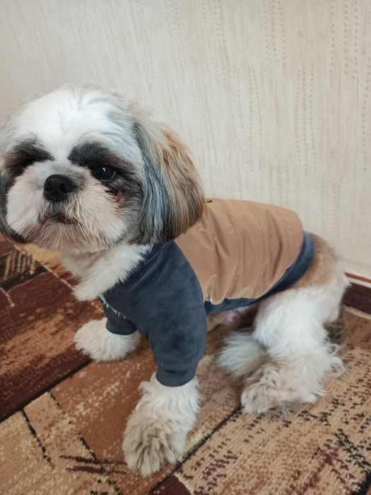 Одяг для собак до 10кг