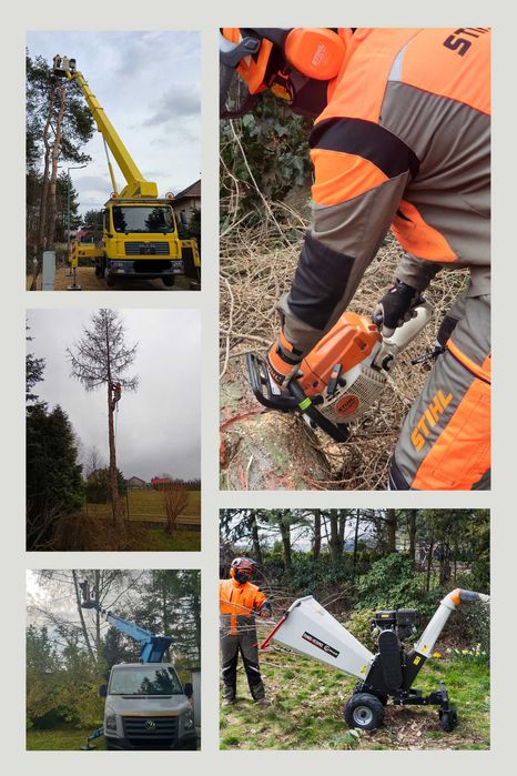 wycinka drzew przycinanie krzewów tui mycie kostki kosznie