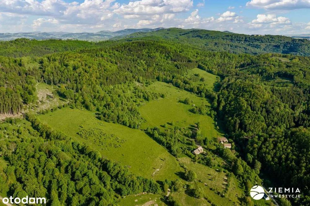 Działka budowlana pod usługi turystyczne Srebrna Góra / Wilcza Osada