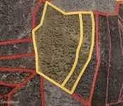 Rustic Land for Sale – Santo André das Tojeiras, Castelo Branco