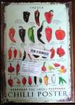 Placa Metal Ilustrativa Pimentas Chillis Malaguetas 20 X 30 cm