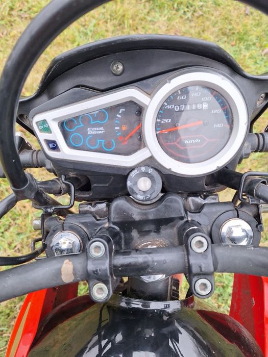 Продам лонсін прус