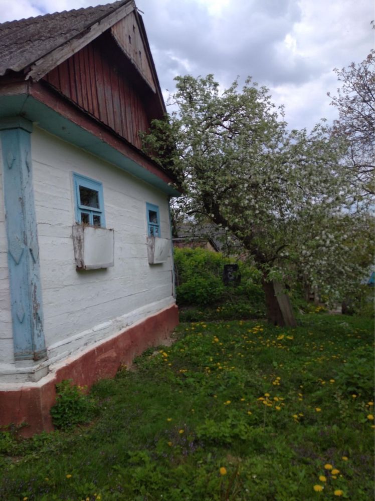 Продаж 1 поверхового будинку з ділянкою 45 соток, Корецький район