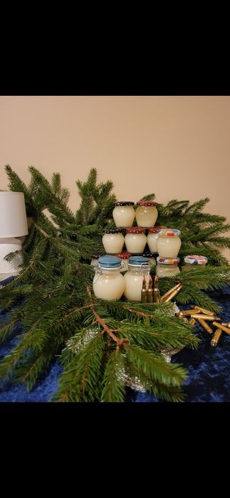 Sadło z borsuka wprost od myśliwego