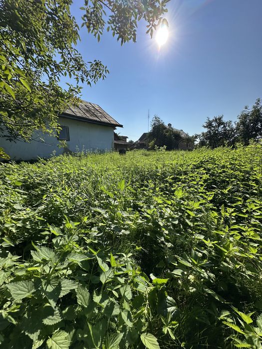 Продаж будинку та присадибної ділянки у с. Миклашів