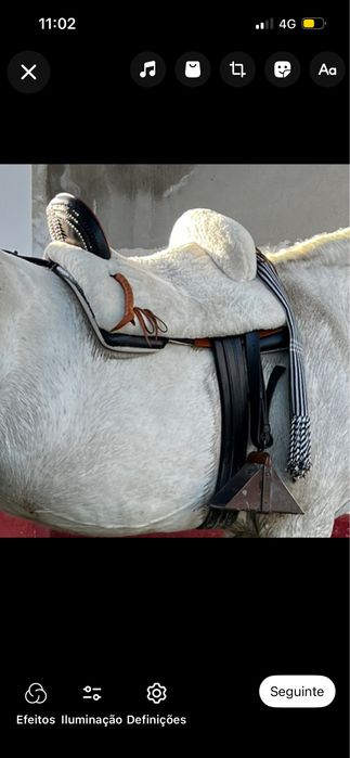 Montura mixta espanhola