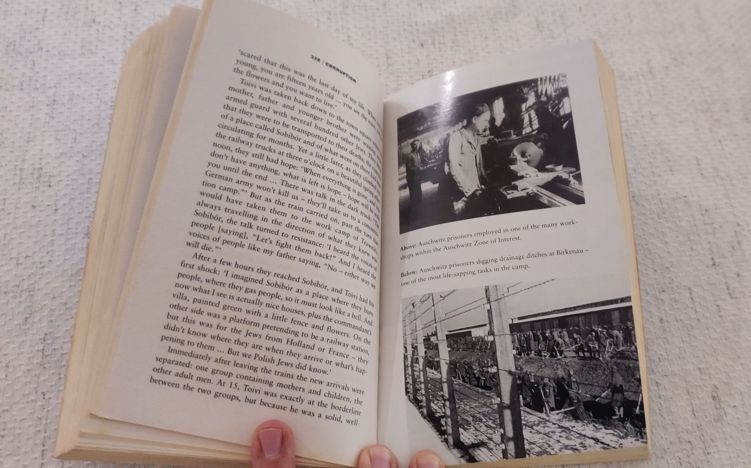 Livro the Nazis and the Final Solution