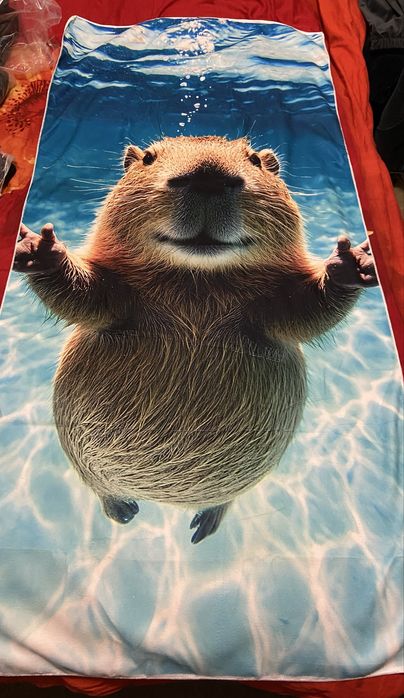 Пляжний рушник ( пляжное полотенце) подстилка