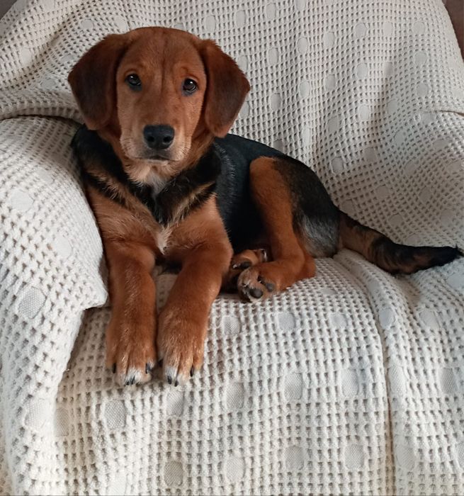 JASIO i MAŁGOSIA - dwa małe serca w drodze po swoją bajkę!