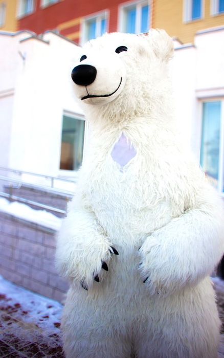 Мишка Полтава Ведмедик Полтава Аніматори Полтава