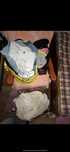 conjunto de roupa