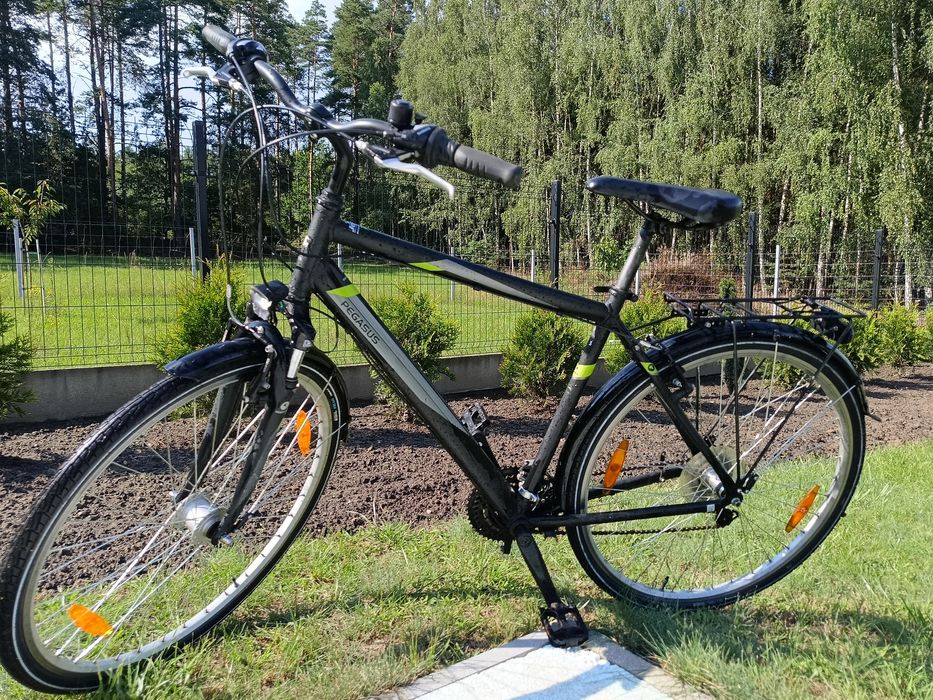 Pegasus Avanti 28 cali,rama 53 cm