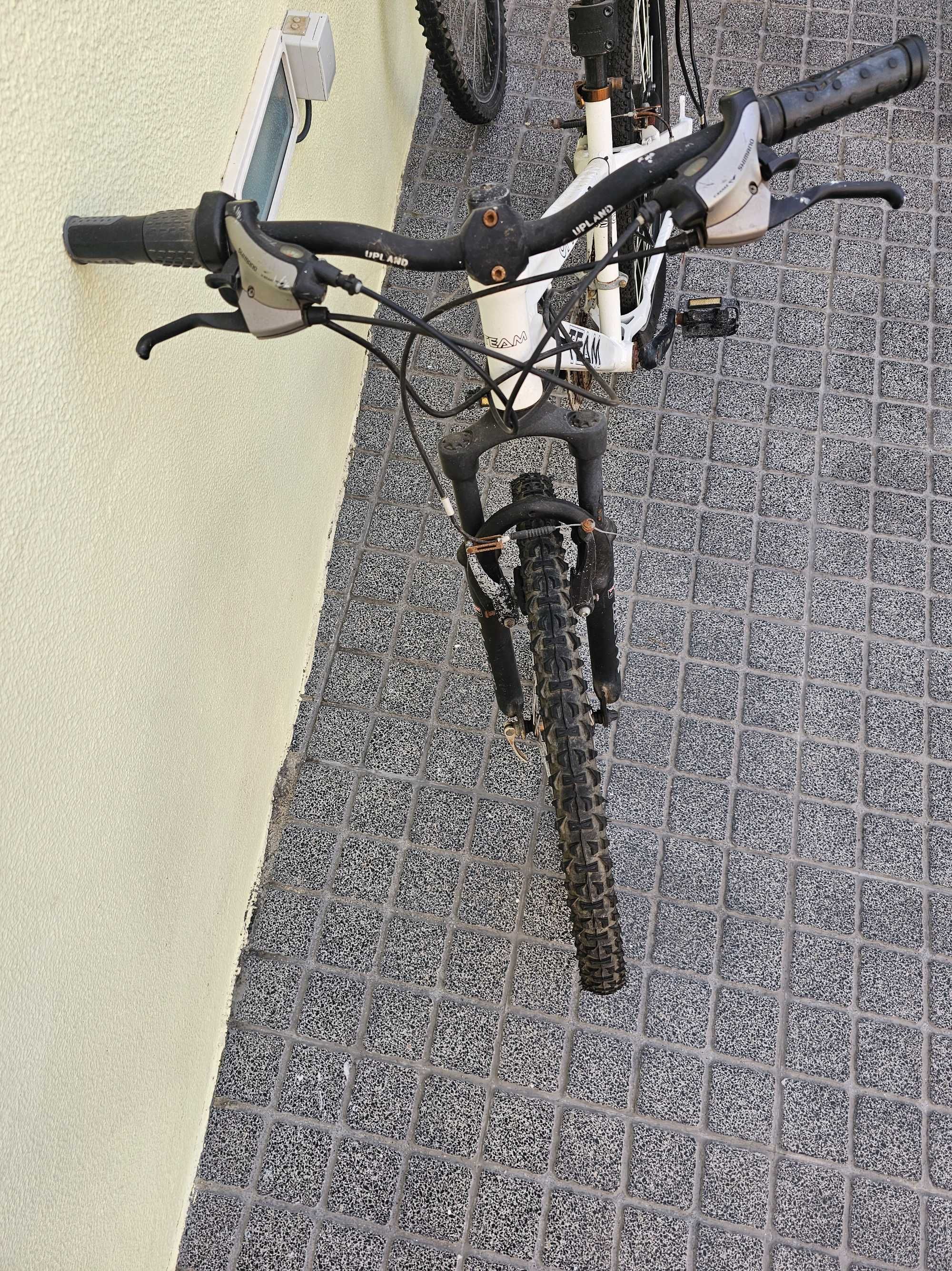 Bicicleta 26 Adulto